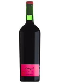 Antiyal Carmenere 2014 750 ml